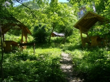 Casa Vanatorilor - alloggio in  Valea Oltului (08)