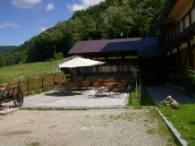 Casa Vanatorilor - alloggio in  Valea Oltului (09)
