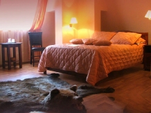 Casa Vanatorilor - accommodation in  Olt Valley (13)