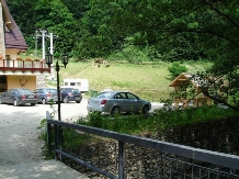 Casa Vanatorilor - alloggio in  Valea Oltului (16)