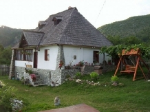 Rural accommodation at  Pensiunea D&D