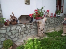 Pensiunea D&D - accommodation in  North Oltenia (08)