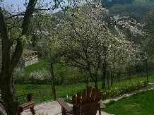 Casuta Rustik Gogon - accommodation in  Slanic Prahova (02)