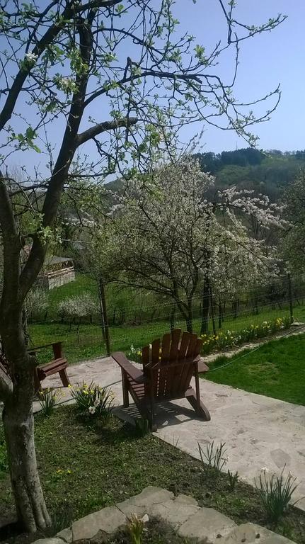 Casuta Rustik Gogon - cazare Slanic Prahova (Activitati si imprejurimi) Casuta Rustik Gogon - cazare Slanic Prahova (Activitati si imprejurimi)