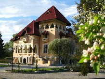 Casa Danielescu - accommodation in  North Oltenia (01)