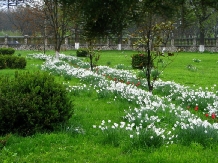 Casa Danielescu - accommodation in  North Oltenia (03)