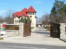 Casa Danielescu - accommodation in  North Oltenia (13)