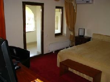 Casa Danielescu - accommodation in  North Oltenia (14)