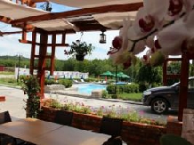 Casa Danielescu - accommodation in  North Oltenia (16)