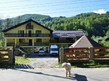 Pensiunea Ciobanelu - accommodation in  Olt Valley, Voineasa, Transalpina (07)