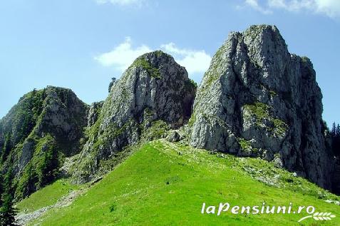 Pensiunea Ciobanelu - alloggio in  Valea Oltului, Voineasa, Transalpina (Attivit&agrave; e i dintorni)