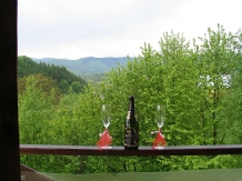 Cabana Veverita - accommodation in  Valea Doftanei (03)