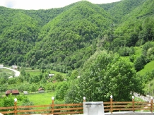 Pensiunea Garvis - accommodation in  Olt Valley, Voineasa (04)