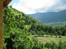 Pensiunea Garvis - accommodation in  Olt Valley, Voineasa (10)