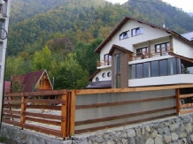 Pensiunea Domnitei Sophie - accommodation in  Olt Valley (07)