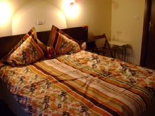 Pensiunea Domnitei Sophie - accommodation in  Olt Valley (17)