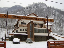 Pensiunea Domnitei Sophie - alloggio in  Valea Oltului (19)