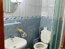 Pensiunea Alex si Maria - alloggio in  Nord Oltenia (12)