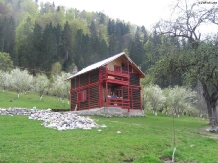 Pensiunea La Sandel - alloggio in  Valea Oltului, Voineasa, Transalpina (04)