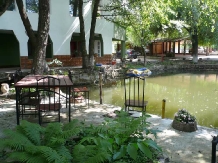 Pensiunea Casa Brancusi - accommodation in  North Oltenia (06)