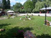 Pensiunea Casa Brancusi - accommodation in  North Oltenia (08)