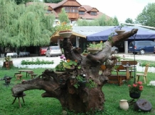 Pensiunea Casa Brancusi - accommodation in  North Oltenia (10)