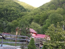 Cabana Casa Vanatorului - accommodation in  North Oltenia (08)