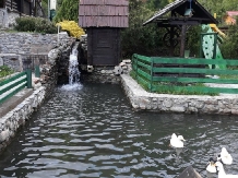 Cabana Casa Vanatorului - alloggio in  Nord Oltenia (09)