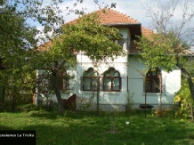 Pensiunea La Troita - accommodation in  North Oltenia (01)