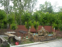 Pensiunea Lucica - accommodation in  North Oltenia (04)