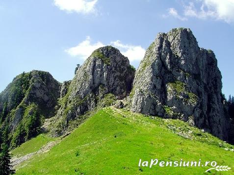 Pensiunea Dalli - accommodation in  Olt Valley (Surrounding)