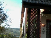 Pensiunea La Americanca - accommodation in  Prahova Valley (05)