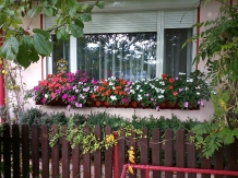 Pensiunea La Americanca - accommodation in  Prahova Valley (20)
