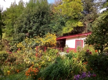 Pensiunea La Americanca - accommodation in  Prahova Valley (29)