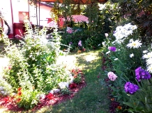 Pensiunea La Americanca - accommodation in  Prahova Valley (59)
