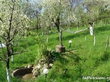 Pensiunea Orhideea - cazare Valea Prahovei (03)