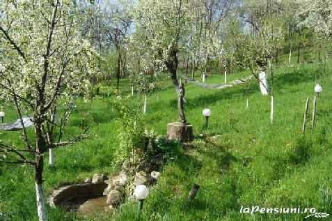 Pensiunea Orhideea - alloggio in  Valle di Prahova (Attivit&agrave; e i dintorni)