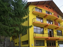 Pensiunea Trei Brazi - accommodation in  Olt Valley (01)