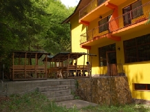 Pensiunea Trei Brazi - accommodation in  Olt Valley (05)