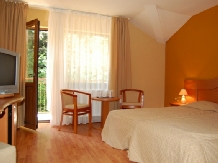 Pensiunea Trei Brazi - accommodation in  Olt Valley (12)