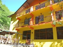 Pensiunea Trei Brazi - accommodation in  Olt Valley (13)