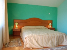 Pensiunea Trei Brazi - accommodation in  Olt Valley (15)