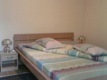 Pensiunea Andrea Maria - accommodation in  Sighisoara (09)