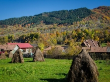 Vila Karina - alloggio in  Valea Doftanei (05)