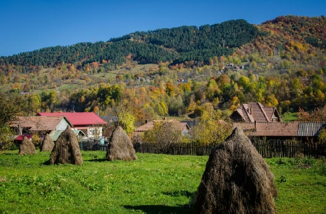 Vila Karina - alloggio in  Valea Doftanei (Attivit&agrave; e i dintorni)