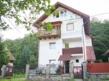 Pensiunea Arinul - cazare Sovata - Praid (01)