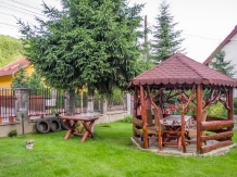 Pensiunea Arinul - cazare Sovata - Praid (06)