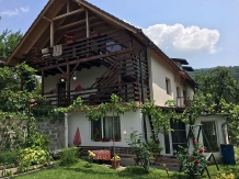 Pensiunea Feriga - accommodation in  Sovata - Praid (01)