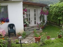 Pensiunea Feriga - accommodation in  Sovata - Praid (07)