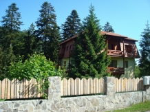 Pensiunea Transilvania - accommodation in  Harghita Covasna, Tusnad (04)